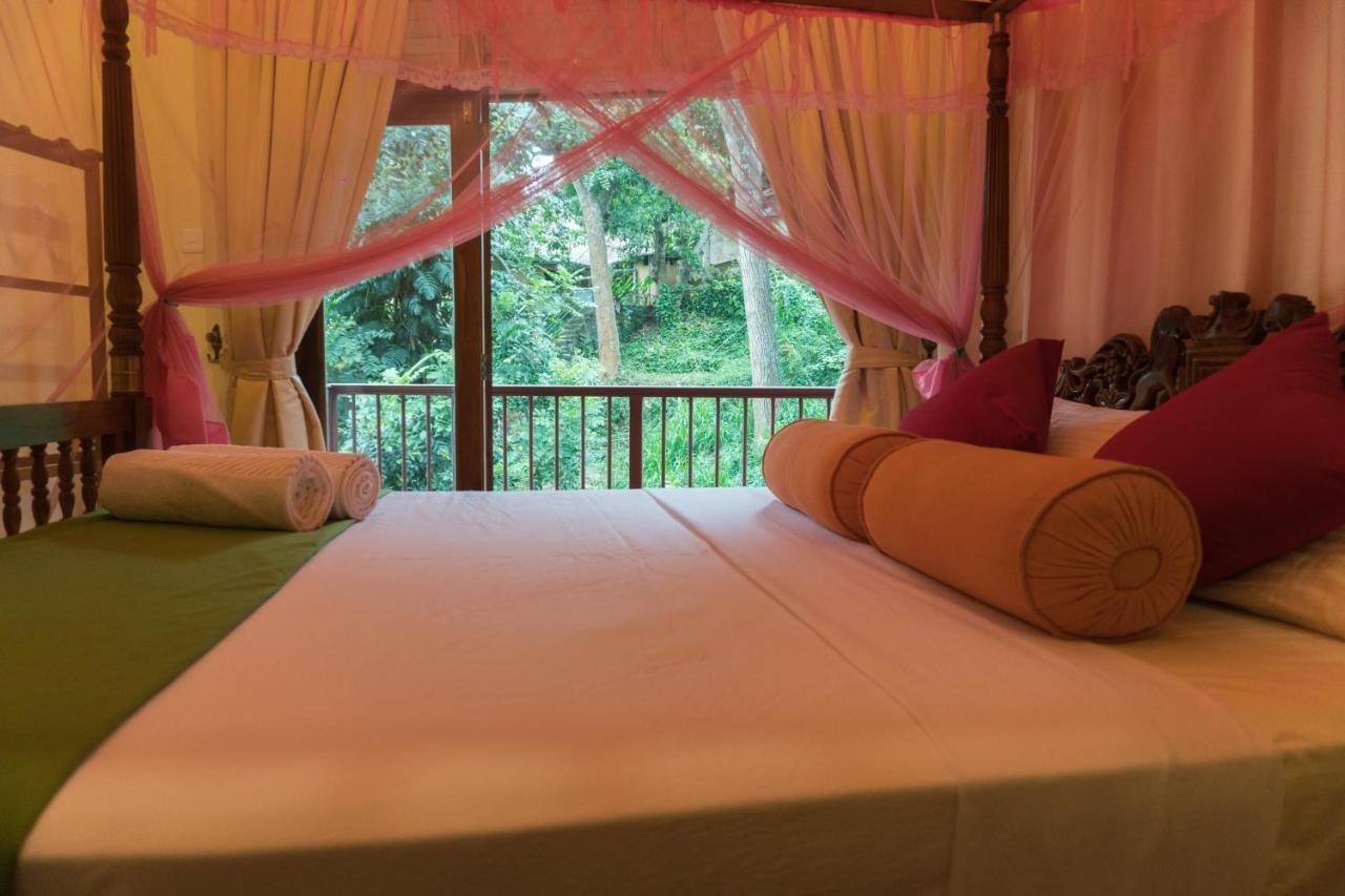קנדי Aronka Homestay מראה חיצוני תמונה